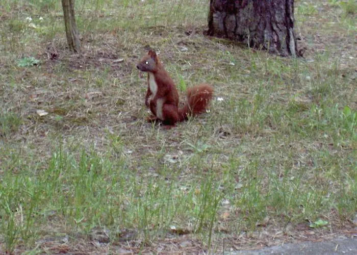 Dependance Ferienhaeuser Am Kastavensee